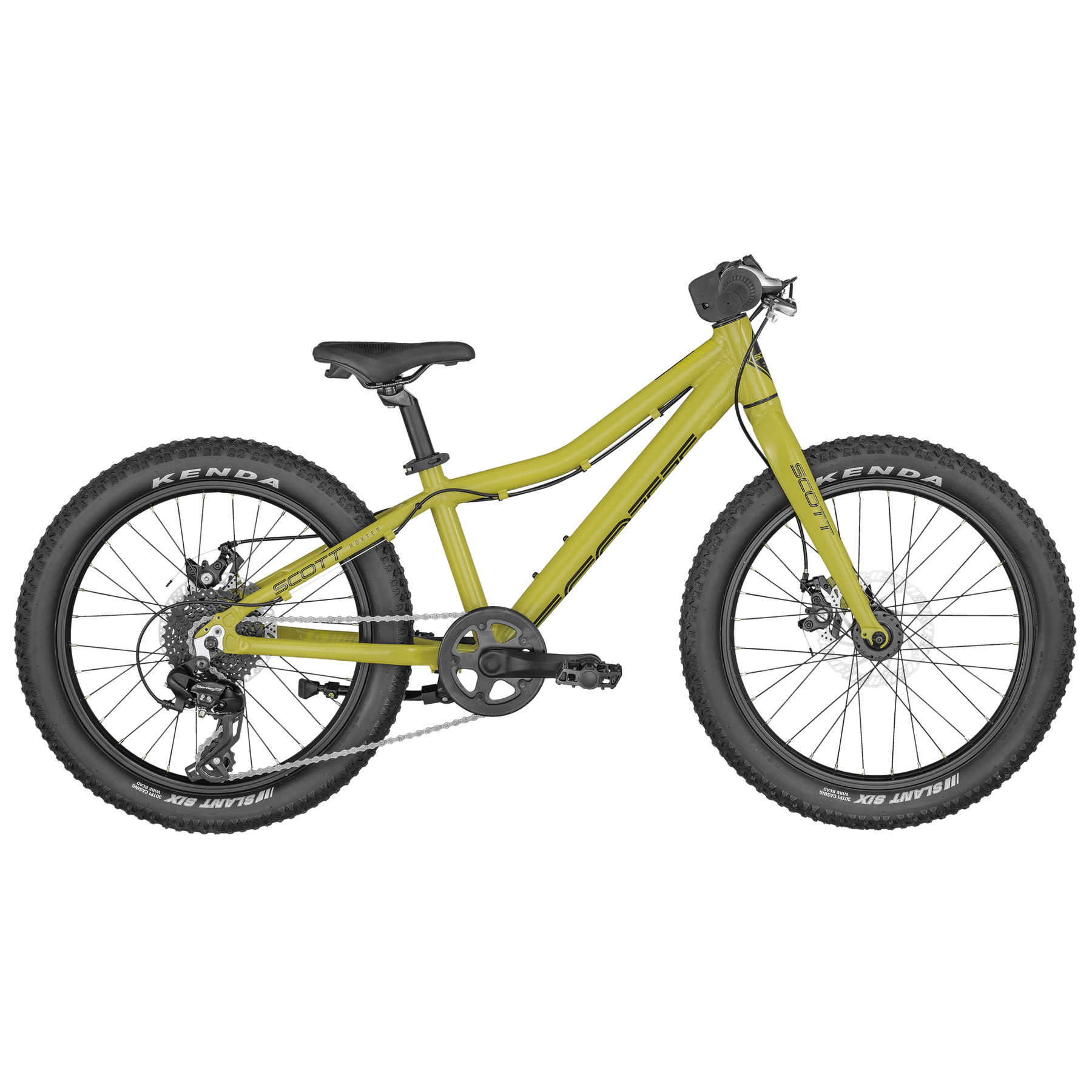 Scott Roxter 20 Kids Bike