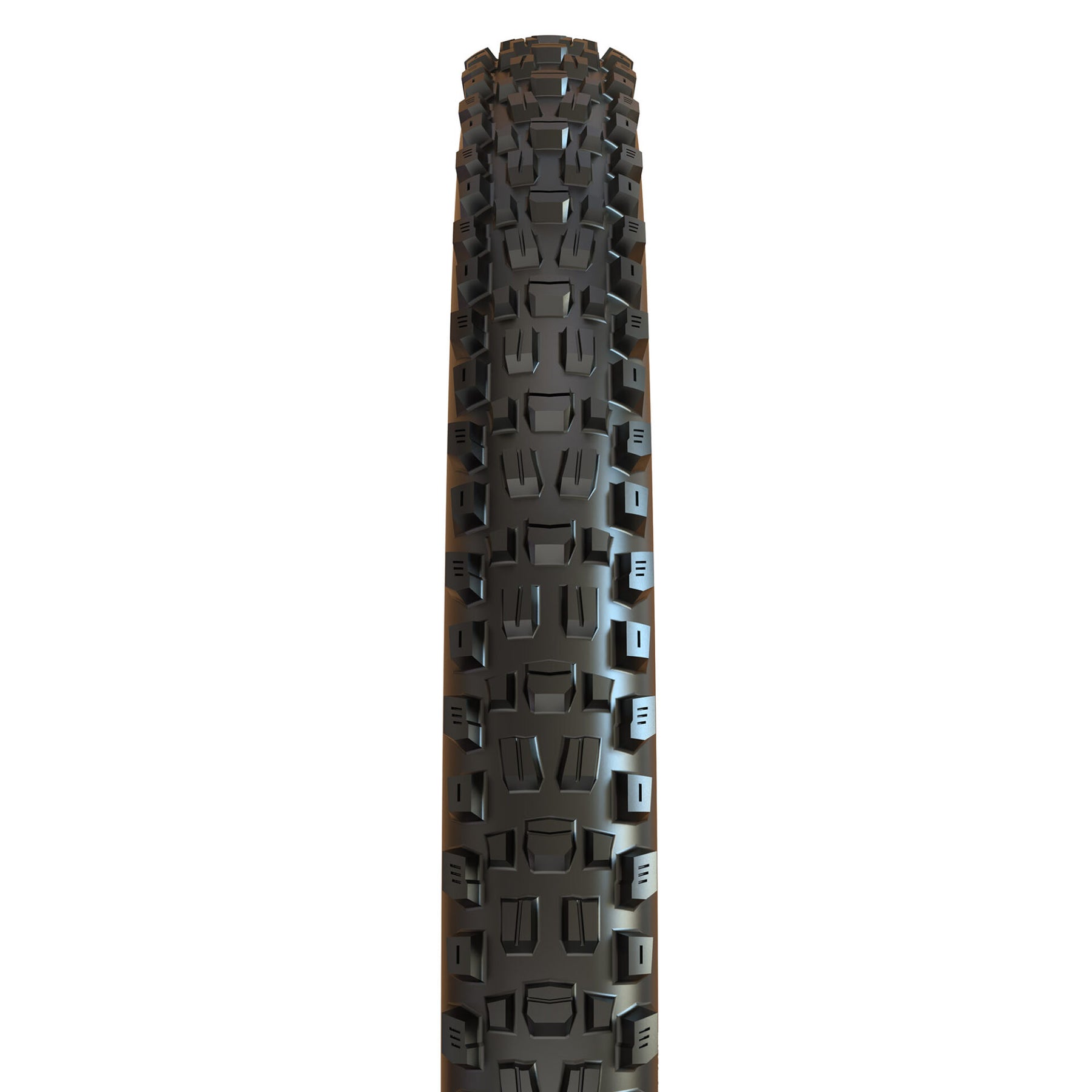 Maxxis Assegai MTB Tyre