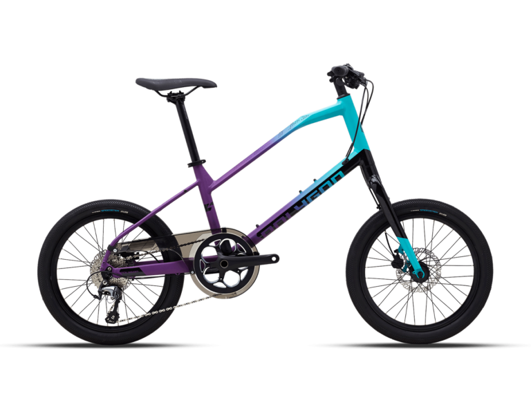 Polygon Zeta 2 City Bike