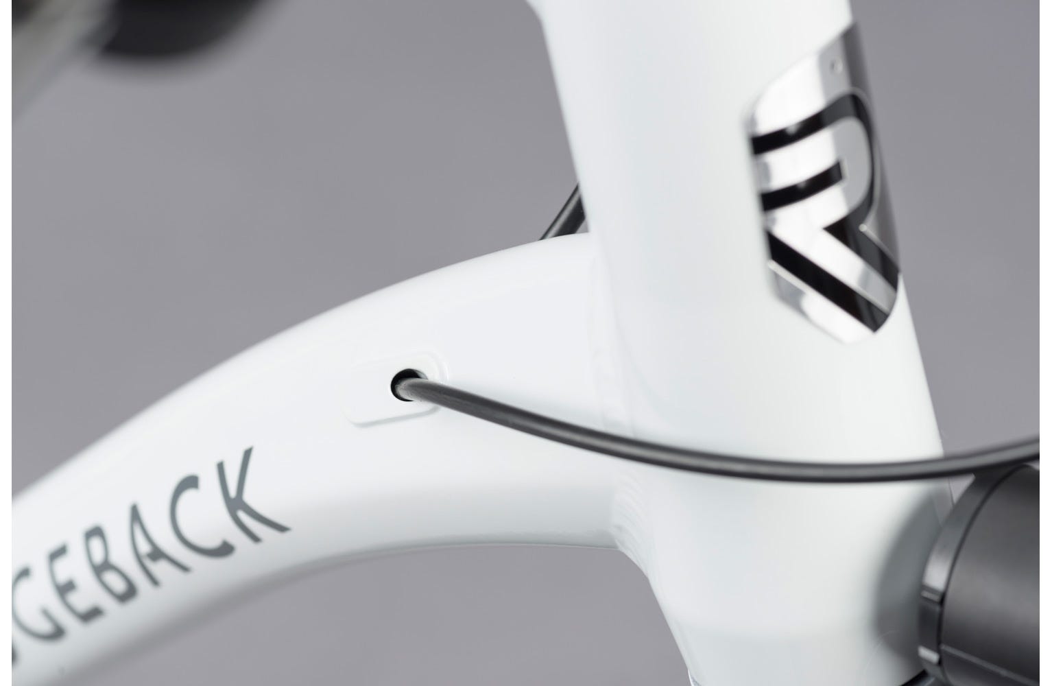 Ridgeback Supernova EQ Hybrid Bike