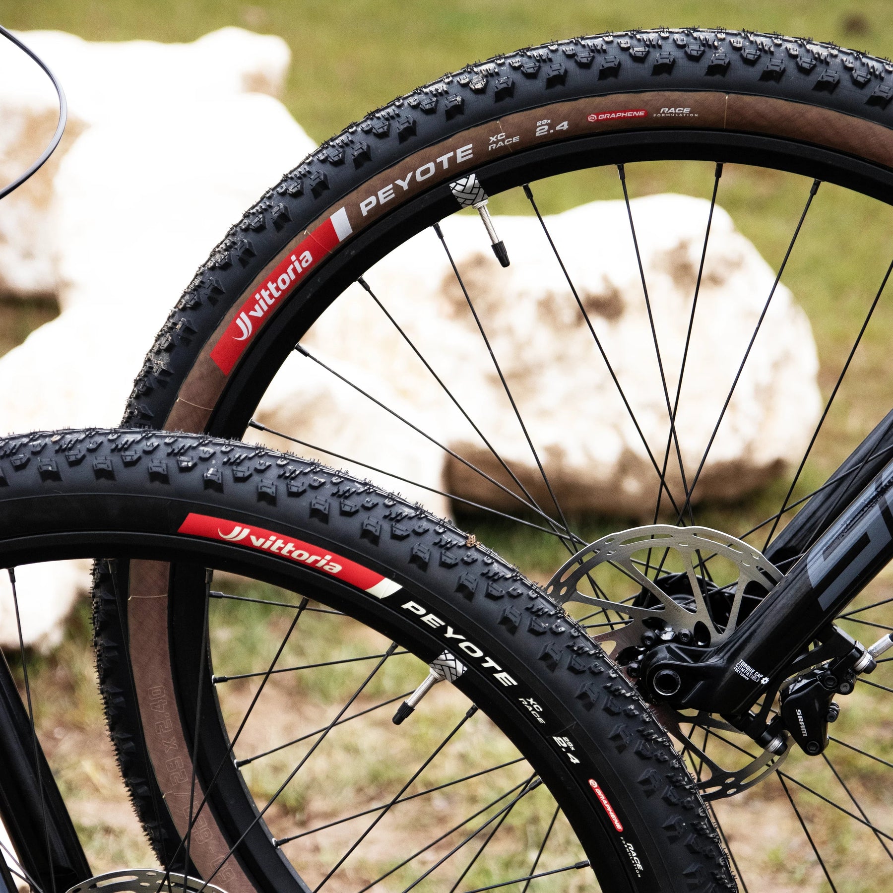 Vittoria Peyote Race MTB Tyre