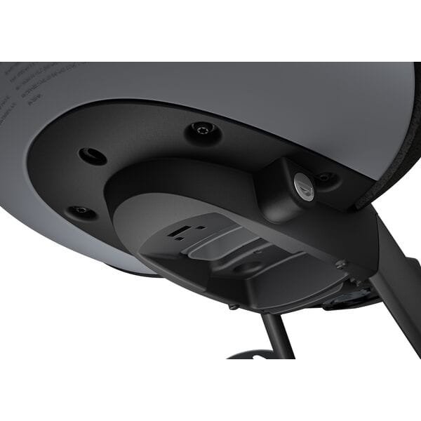 Thule Yepp Nexxt 2 Mini Childseat