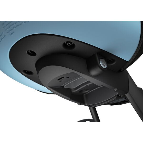 Thule Yepp Nexxt 2 Mini Childseat