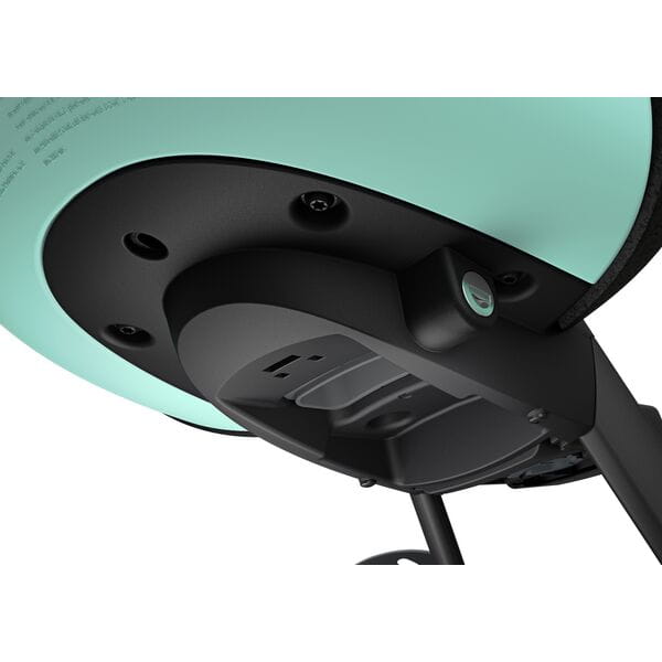 Thule Yepp Nexxt 2 Mini Childseat