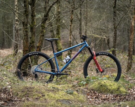 Marin El Roy Frameset 29"