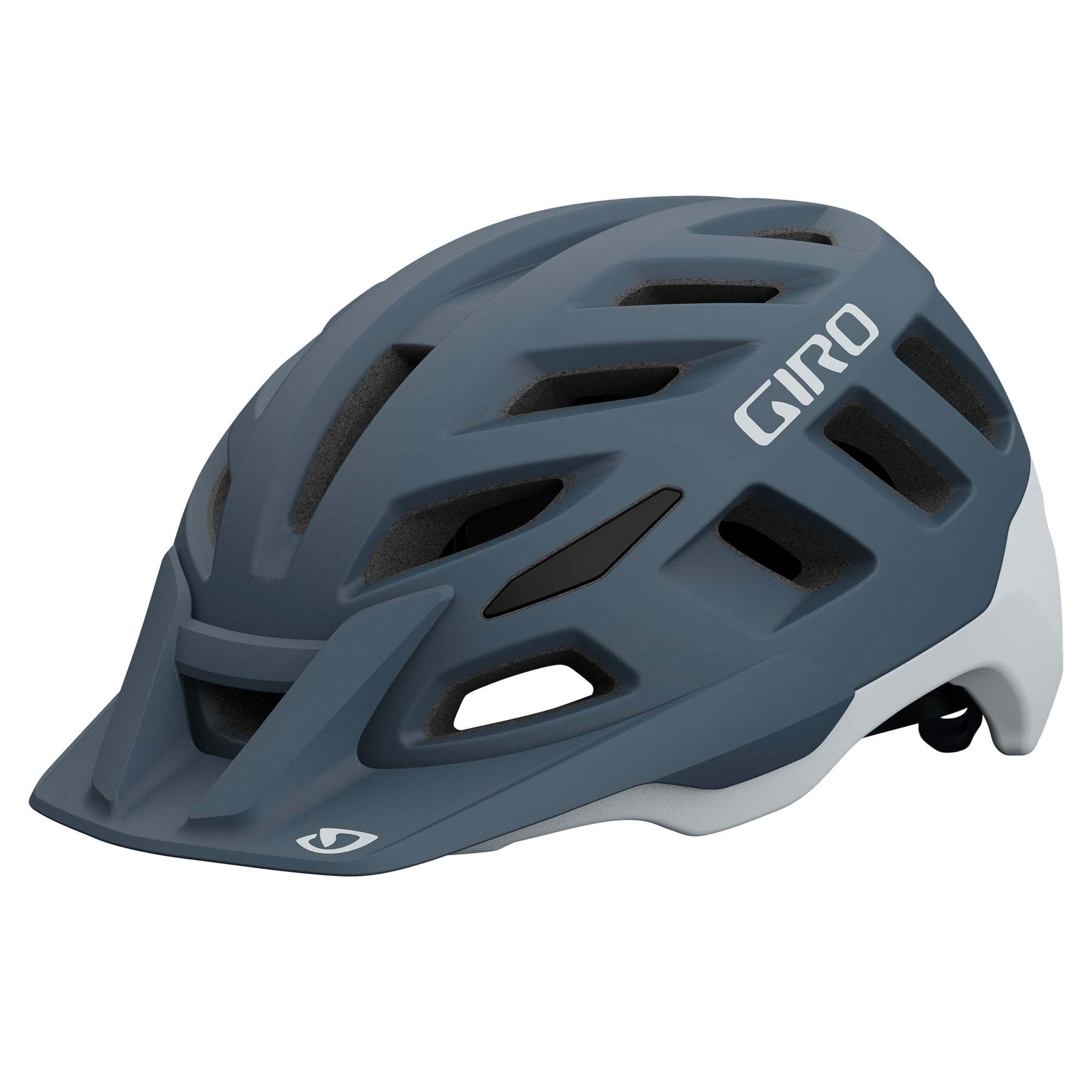 Giro Radix Dirt Helmet