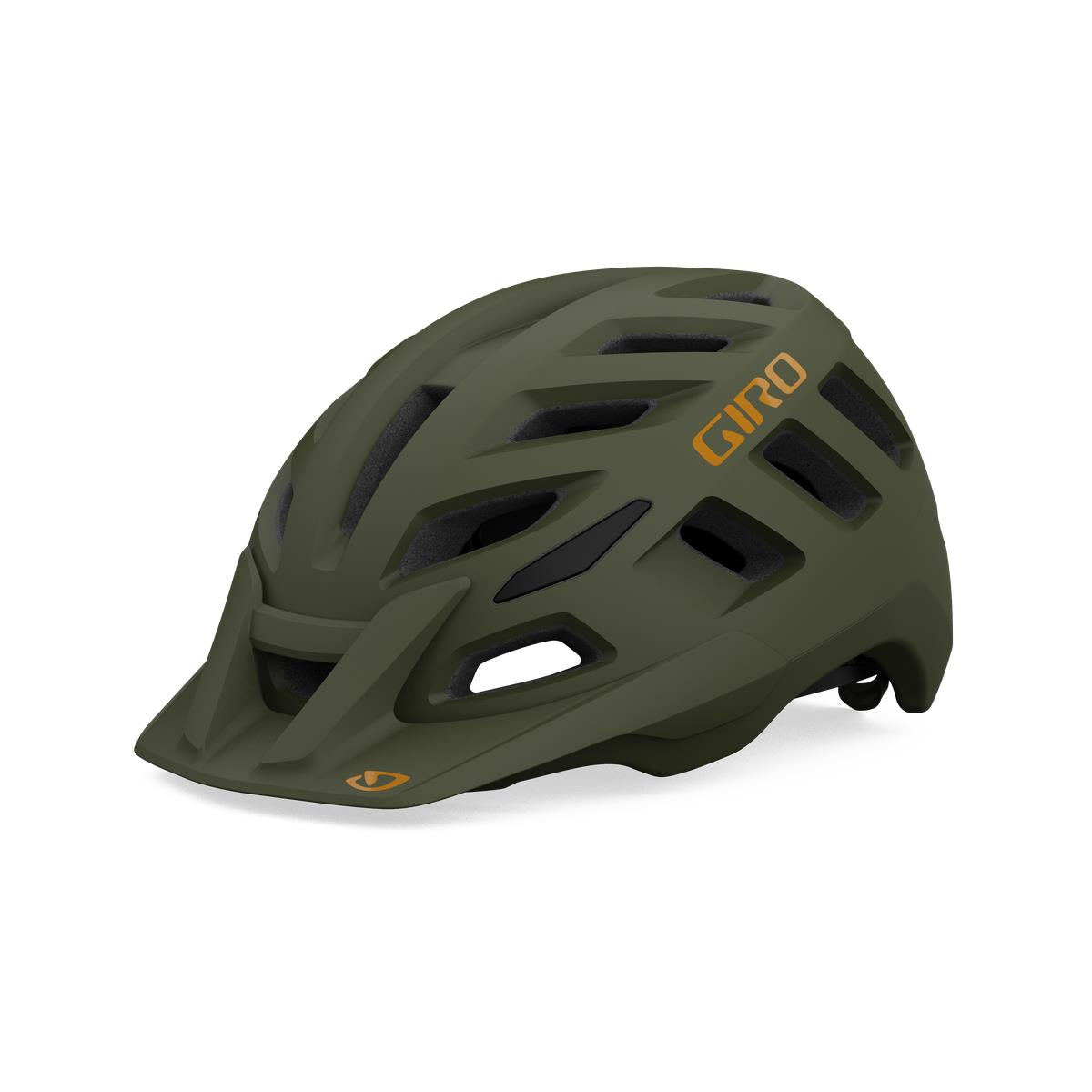 Giro Radix Dirt Helmet