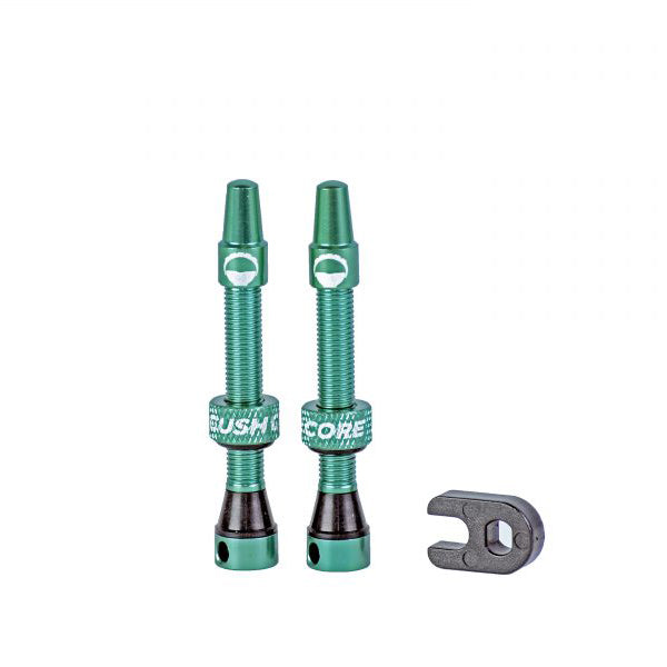 Cushcore Tubeless Presta Valves