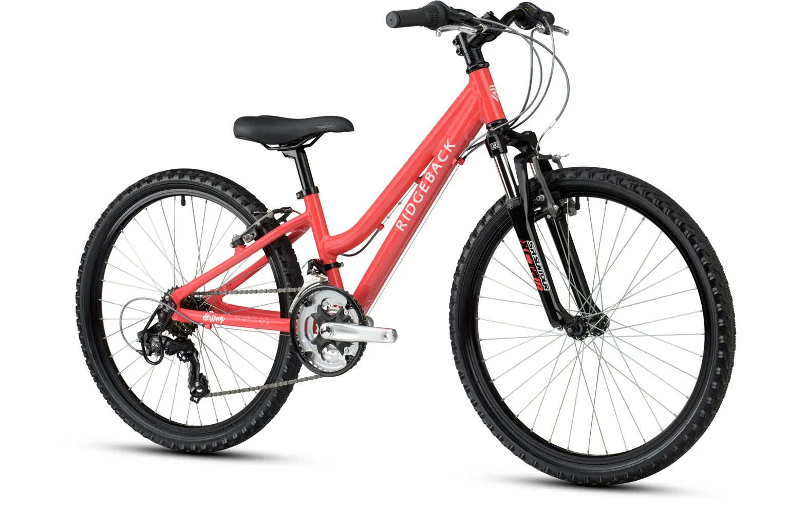 Ridgeback Destiny 24" Kids Bike