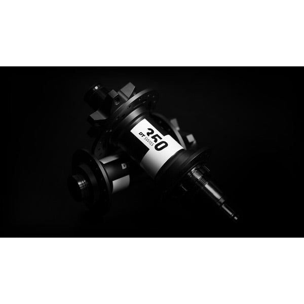 DT Swiss 350 Classic 6-Bolt Rear Hub 32H