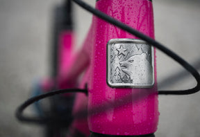 Marin Alpine Trail Alloy MTB Frame