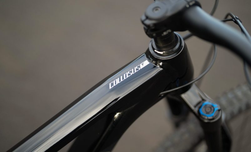 Polygon Collosus T5 Alloy Mountain Bike 2026