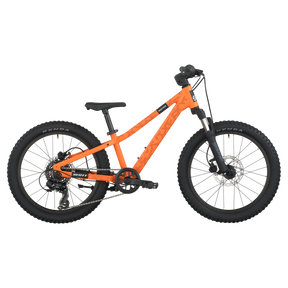 Scott Roxter 200 20" Kids Bike