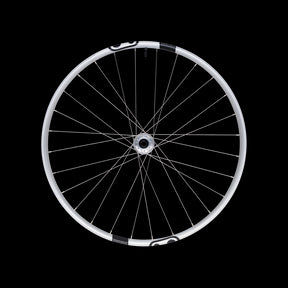 Crankbrothers Synthesis Alloy 2.0 E-Bike 1/1 Front Wheel - 29" Silver 110 x 15mm