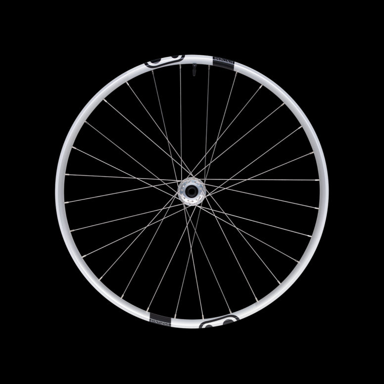Crankbrothers Synthesis Alloy 2.0 E-Bike 1/1 Front Wheel - 29" Silver 110 x 15mm