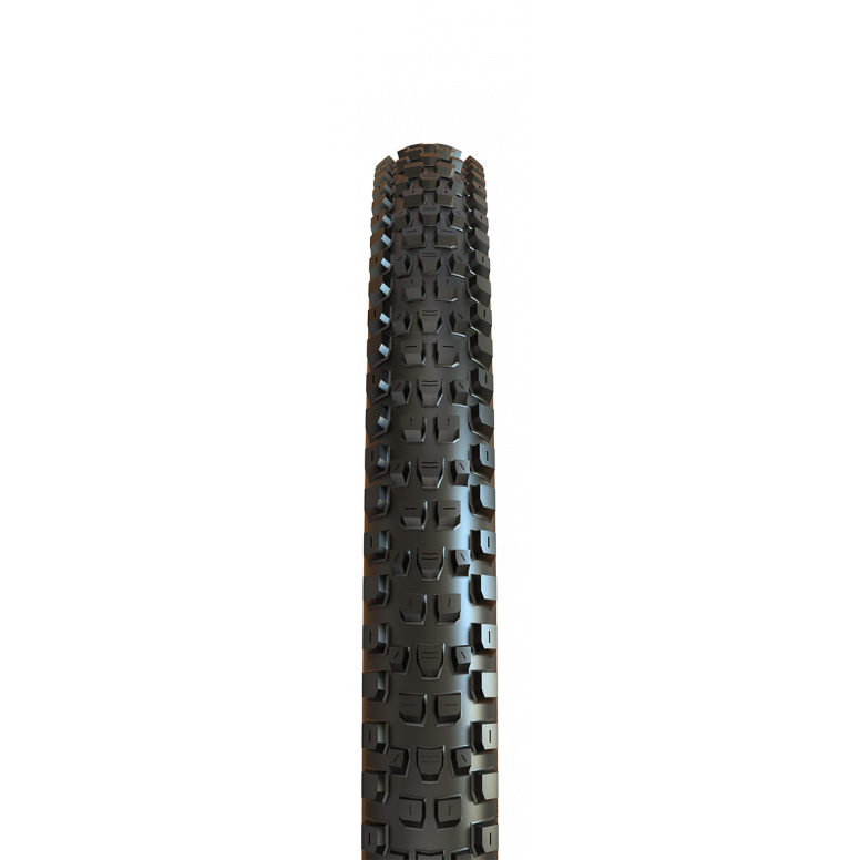 Maxxis Dissector G2 MTB Tyre