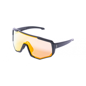 Coast Optics Nita 2 Glasses Black Gold + Clear