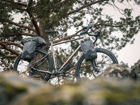 Old Man Mountain Hemlock with FLiP Cages