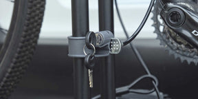 Buzz Rack Eazzy 4 Bike