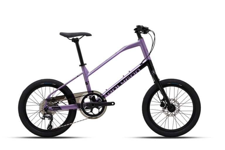 Polygon Zeta 2 City Bike