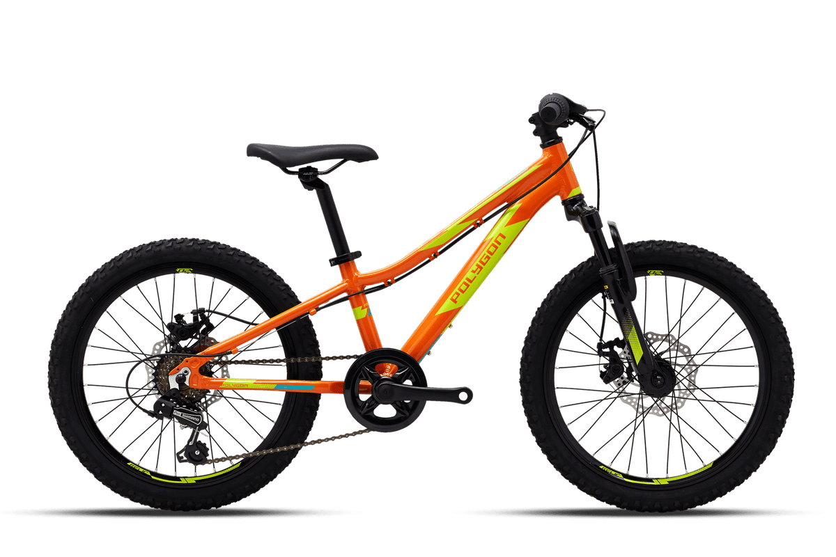 Polygon Relic 20 Kids Bike