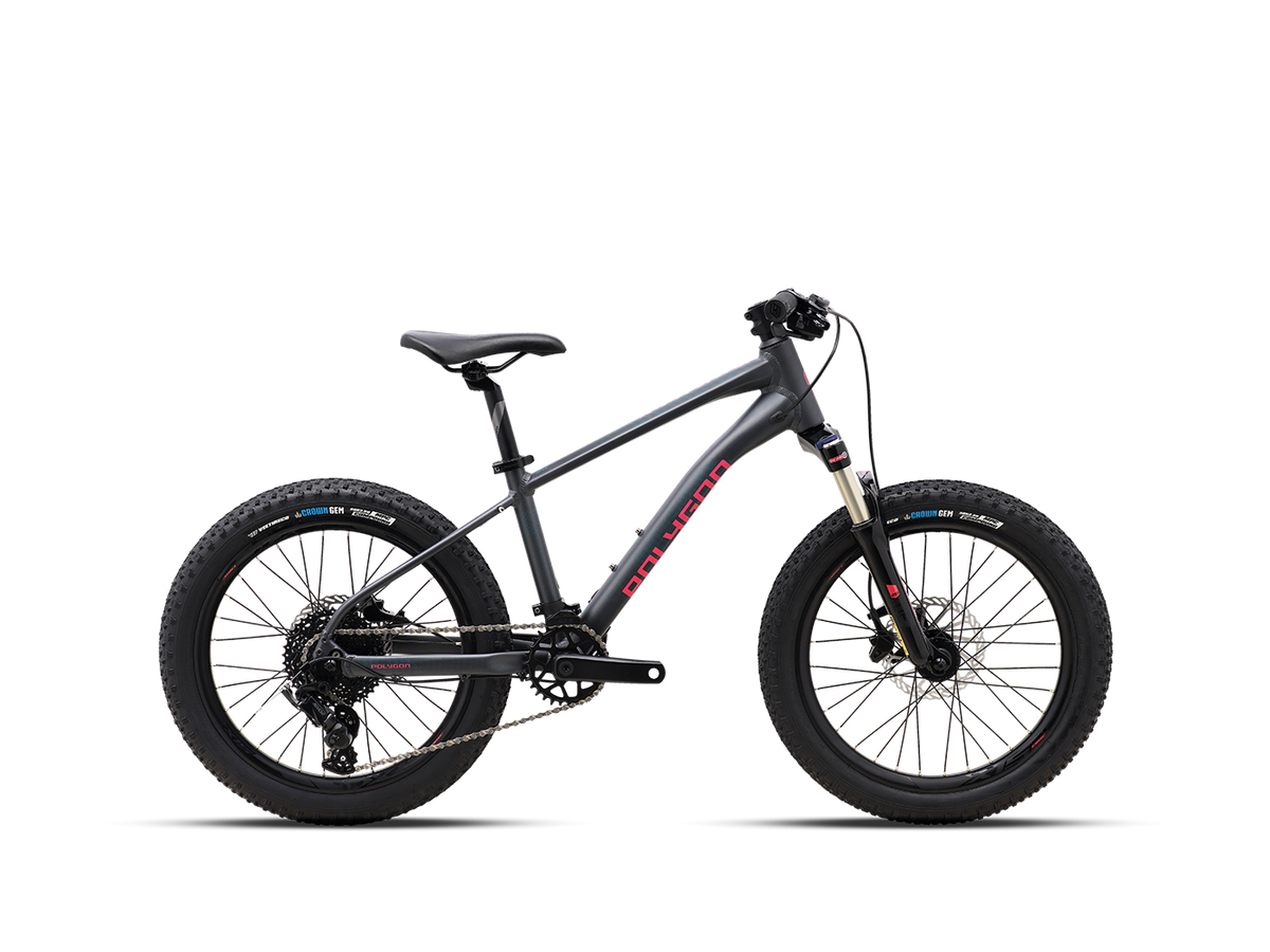 Polygon Xtrada 20 Kids Bike