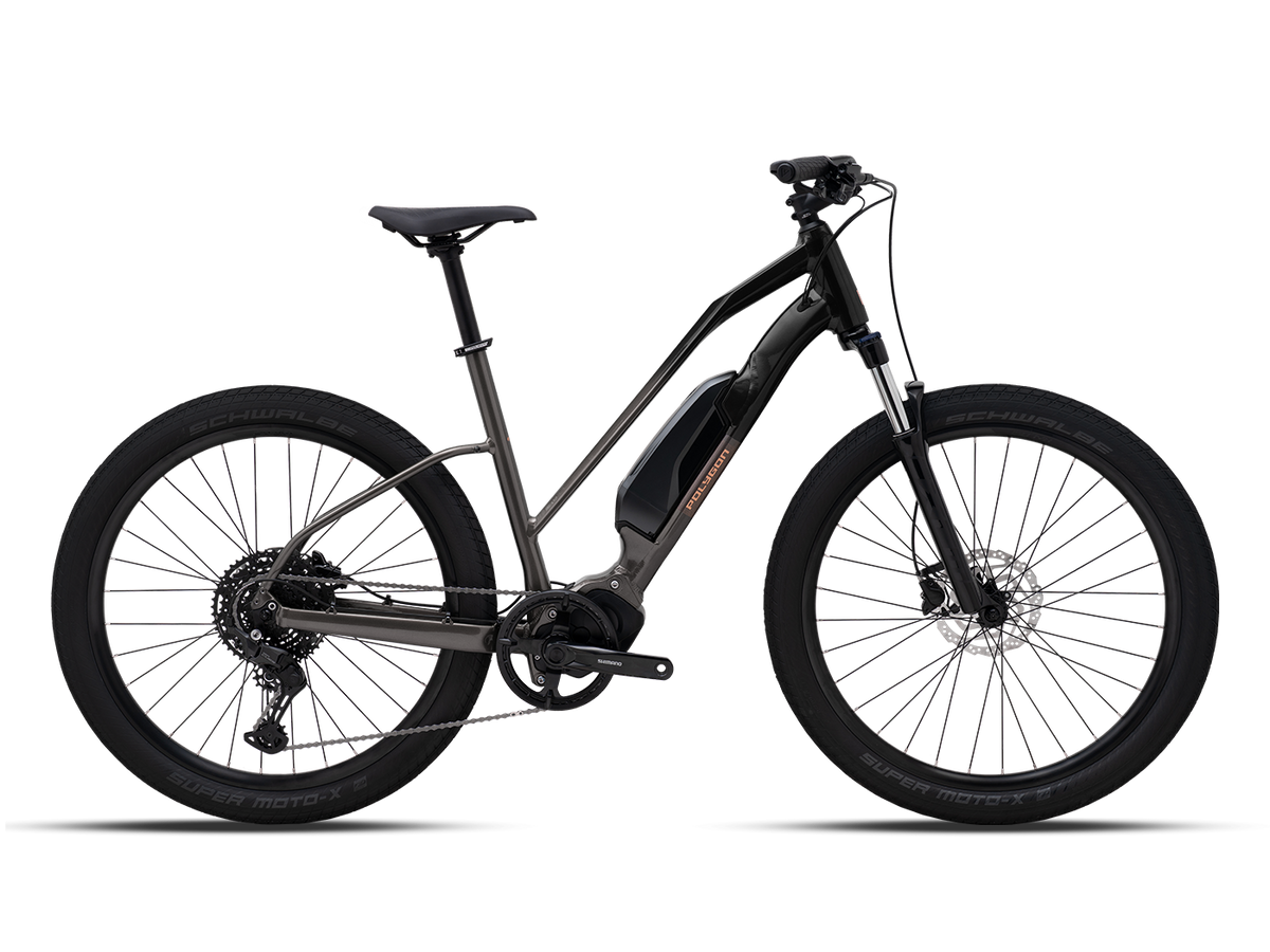 Polygon Kalosi Lanes Evo LS Electric Bike
