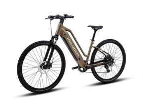 Polygon Kalosi Miles LS Electric Bike