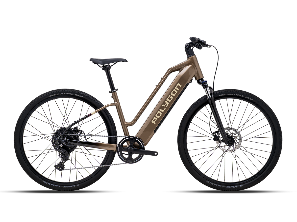Polygon Kalosi Miles LS Electric Bike