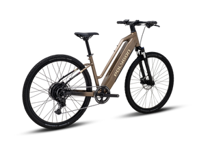 Polygon Kalosi Miles LS Electric Bike