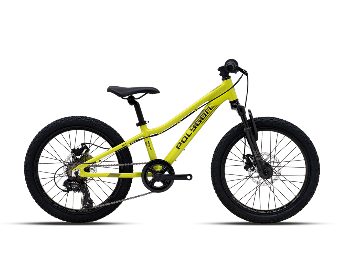 Polygon Relic 20 Kids Bike