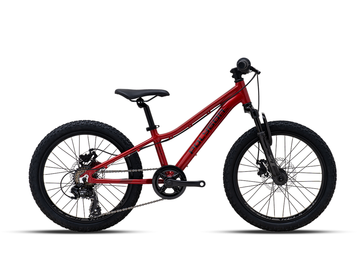 Polygon Relic 20 Kids Bike