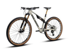 Polygon Syncline DR9 Carbon Full Suspension MTB