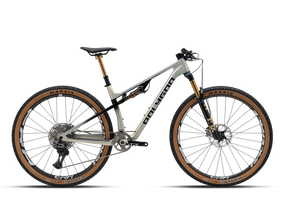 Polygon Syncline DR9 Carbon Full Suspension MTB