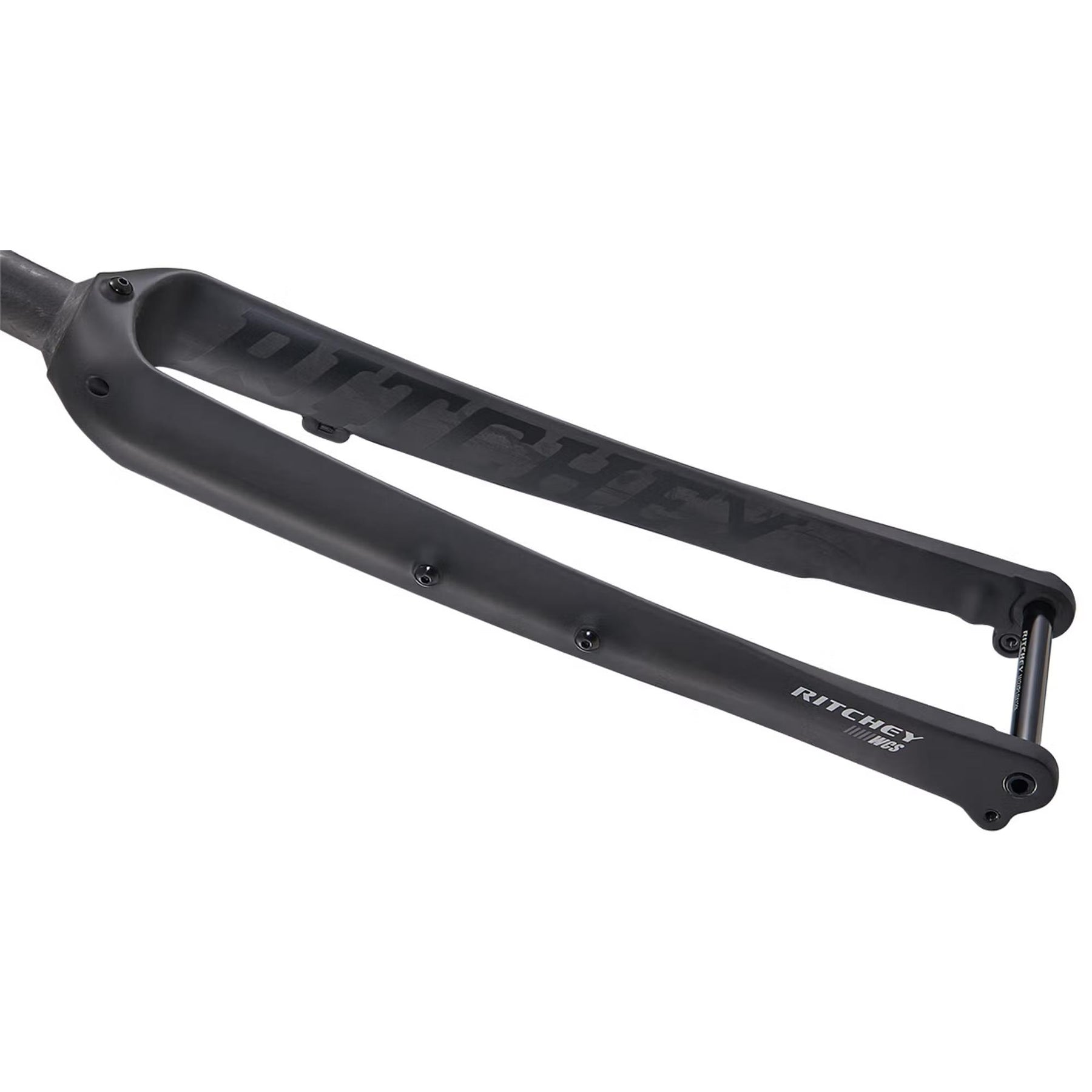 Ritchey WCS Carbon Brevet Fork Black 12 x 100mm