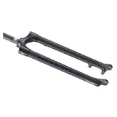 Ritchey WCS Carbon Disc 29er MTB Fork UD Matte QR x 100mm