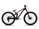 Polygon Trid ZZ Dirt Jump Bike