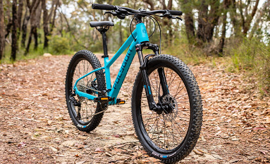 Polygon Xtrada 24 Kids Bike