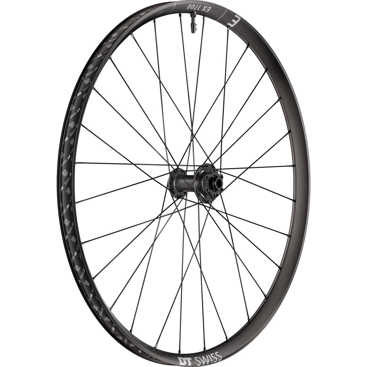 DT Swiss EX 1700 Classic Front Wheel