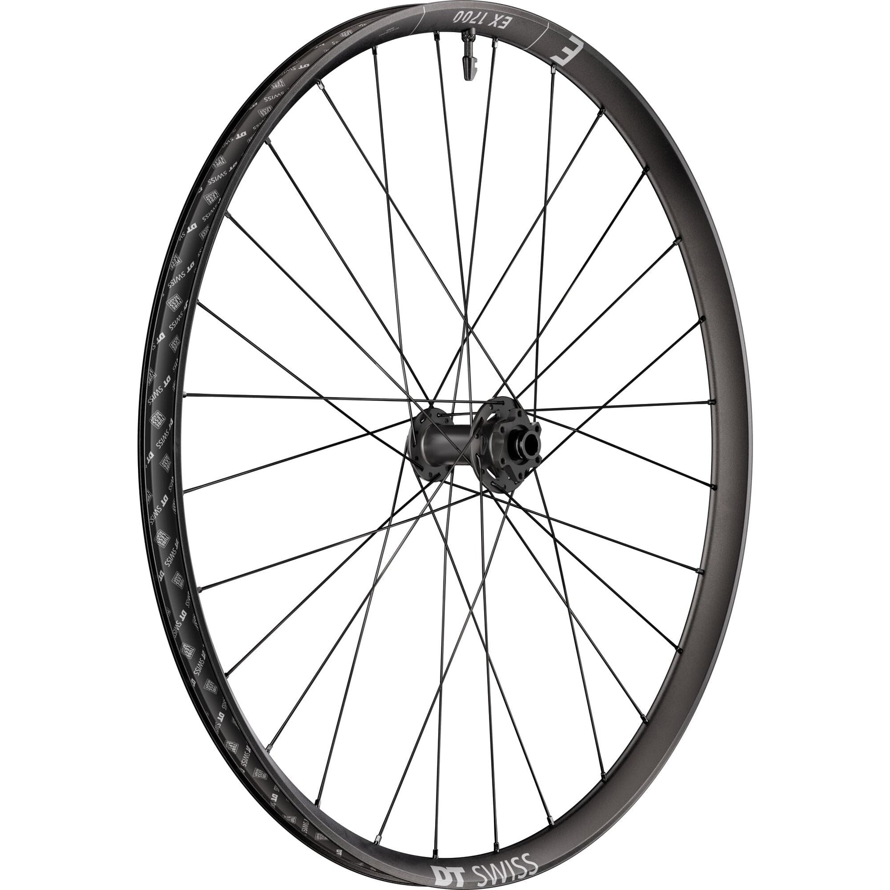 DT Swiss EX 1700 Classic Front Wheel