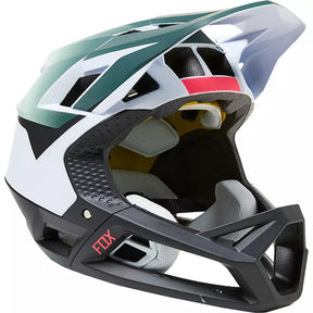 Fox Racing Proframe Vow Helmet