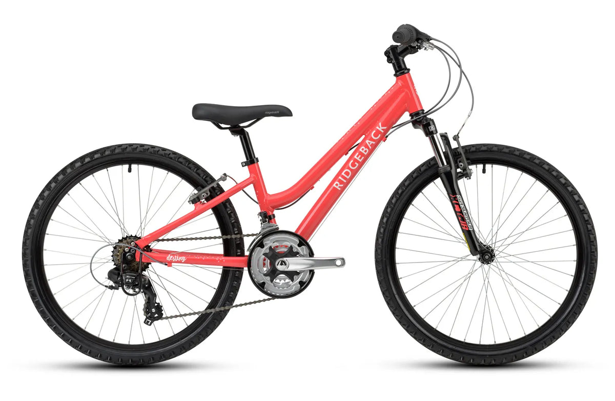 Ridgeback avenida 6 review sales